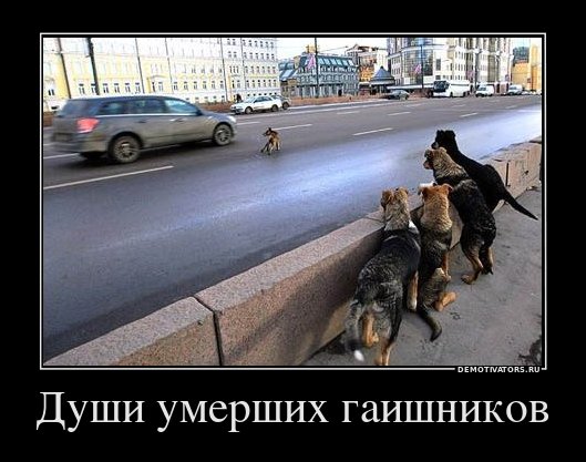 Нестандартный юмор