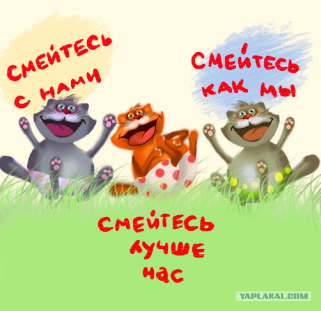 Беседка ФиС ЯПа 5