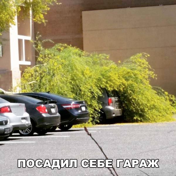 Прикольные картинки абавсём