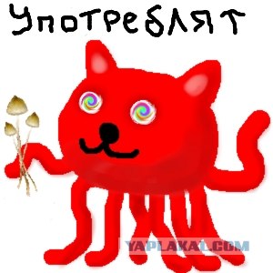 Да ты упоротый!