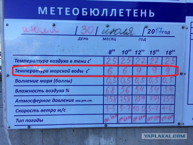 На пляжах Анапы и Геленджика запретили купаться