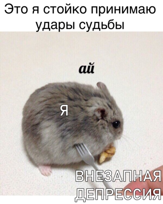 Нестандартный юмор