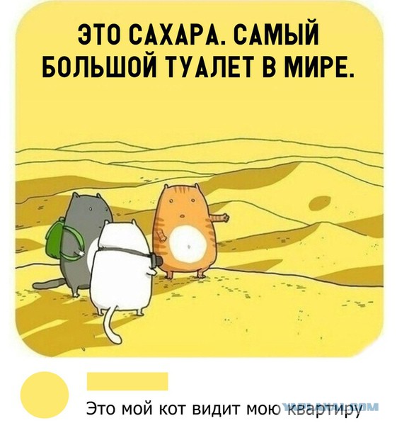 Картинки из интернета на вторник