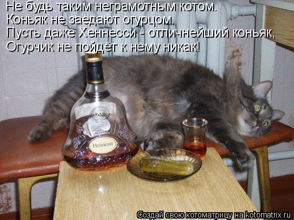 Алкоты