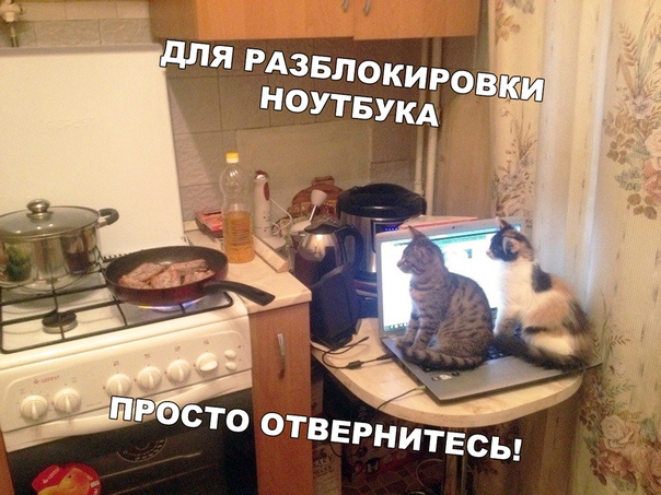 Бредзона 21.02.2020