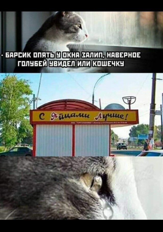 Пазитивные картинки на 13.06.2020
