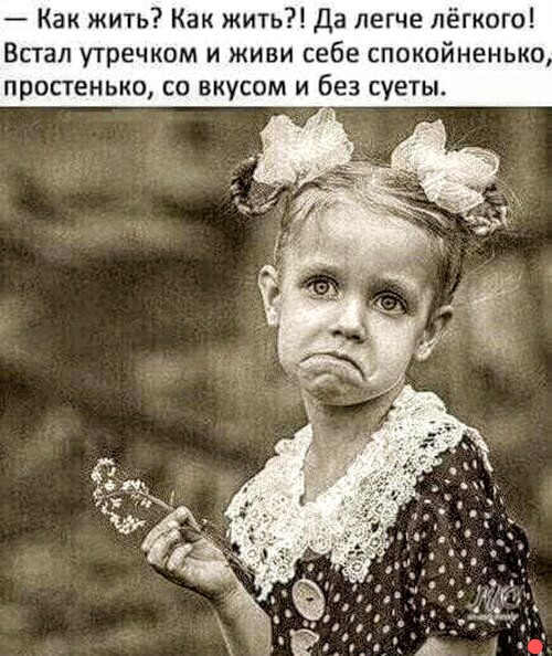 Немного картинок для настроения 20.06.20