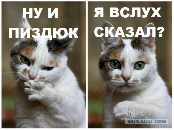 8-летний ребенок ведет Audi