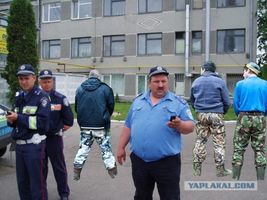 Фотожаба:На связи