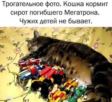 Расслабуха в эти выходные