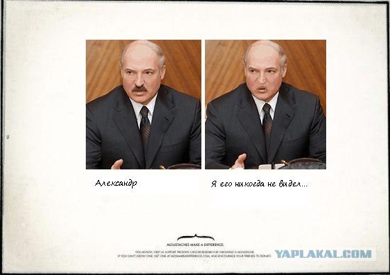 Усы творят чудеса!