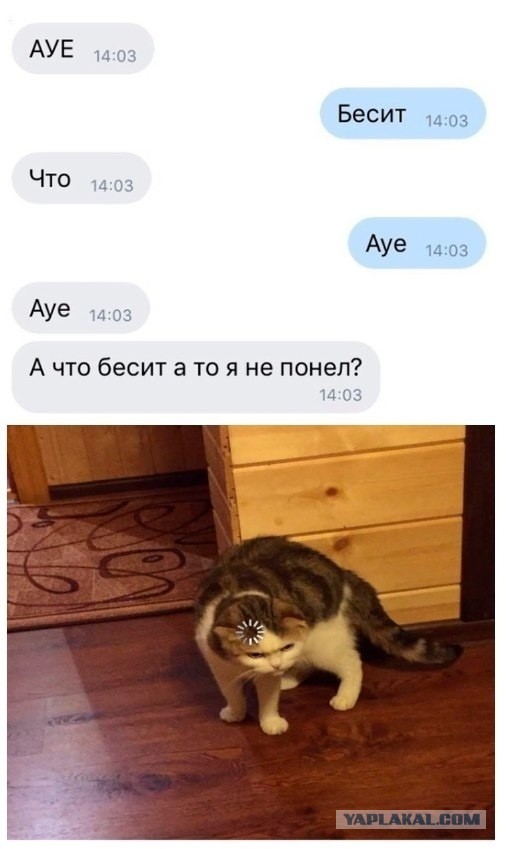 Бредзона 29.11.20