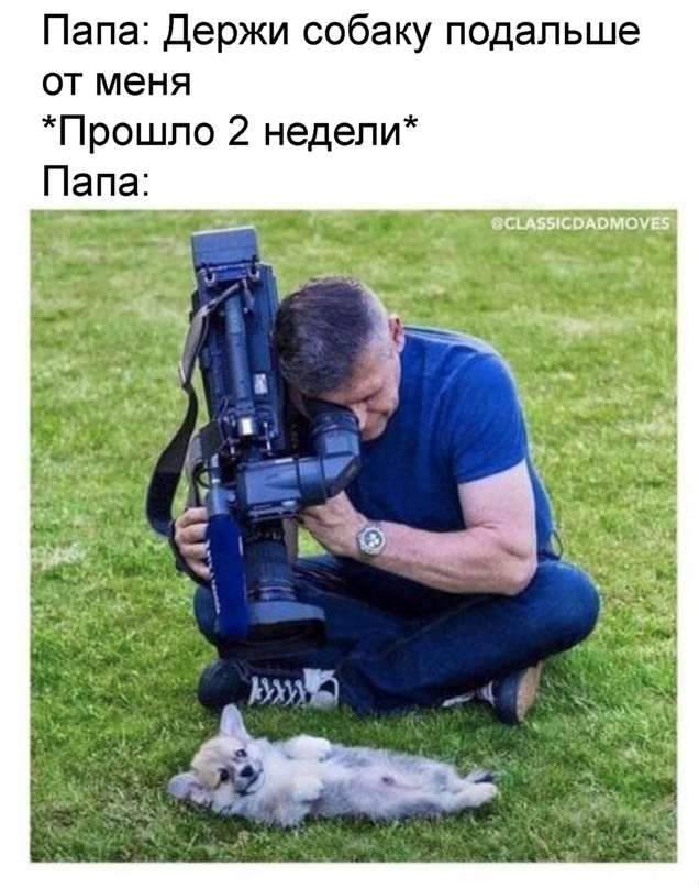 Весёлый полтишок 5.04