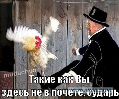 В Москве обстреляли автомобиль с майором полиции