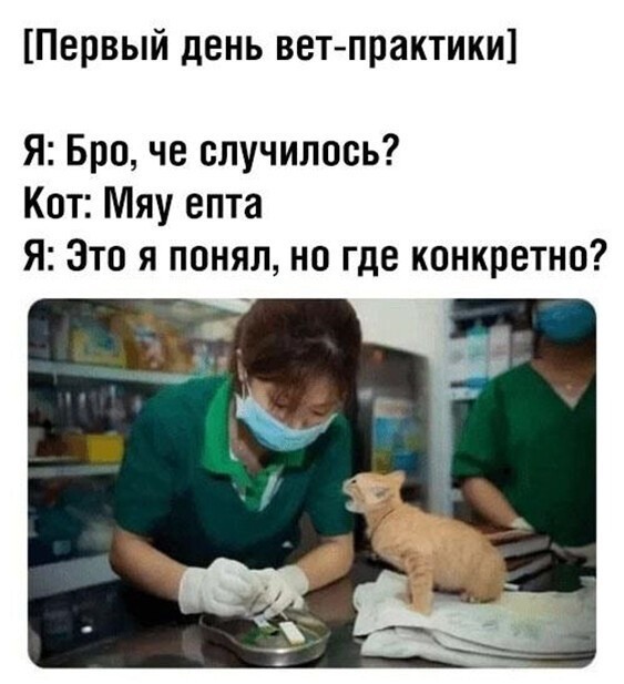 Записки деревенского ветеринара ч. 3