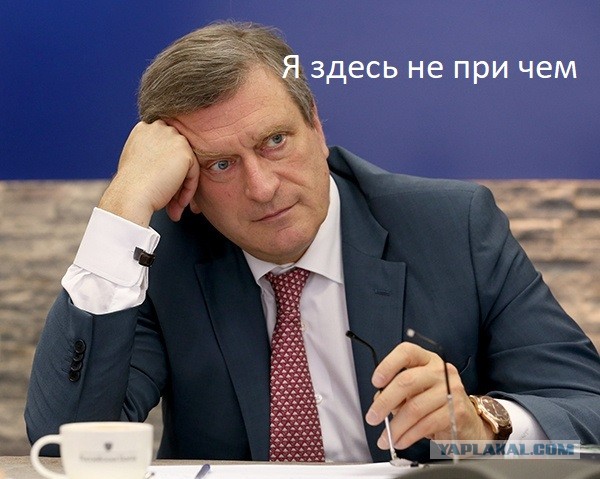 Мария Бутина, отсидевшая полтора года в американской тюрьме, все-таки станет депутатом Госдумы