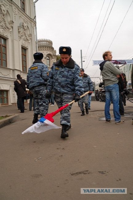 Случай во время Дня народного единства (3 фото)