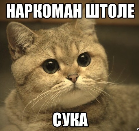 Я художник, я так вижу