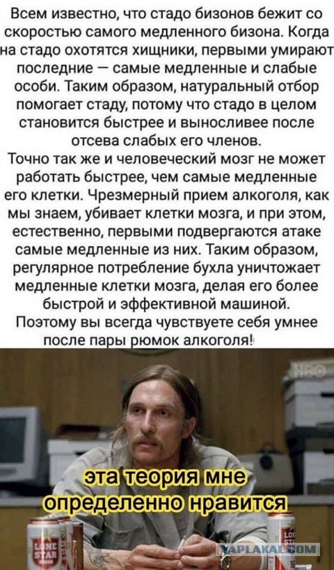Суббота? Опять напился? Надо, чтобы убило? Тебе сюда