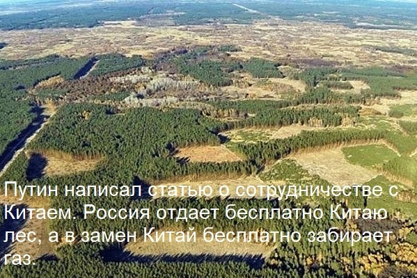 Так себе картинки 15.02.22