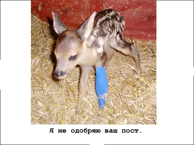 Небольшой поход