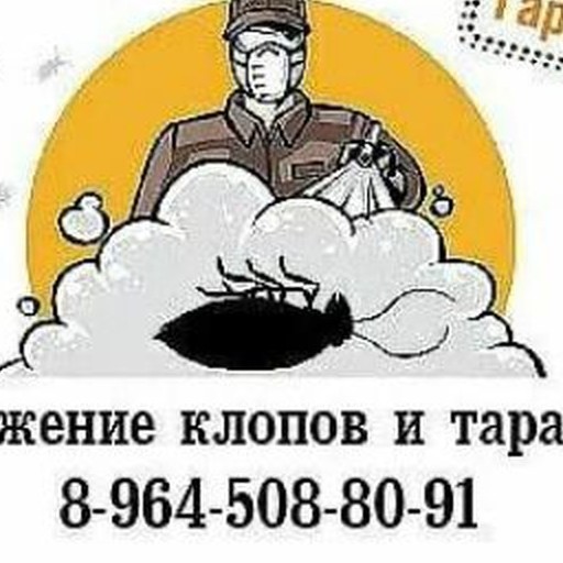 Клопы в доме. Нужны одекватные советы