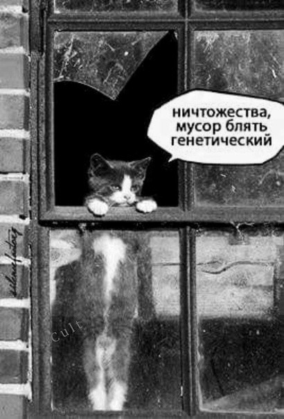 Так себе картинки 04.04.22