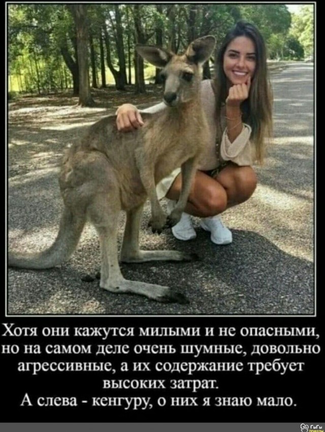 Картинки и мемы - "Жить, как говорится, хорошо..."