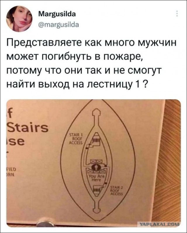Картинки и мемы - "Жить, как говорится, хорошо..."