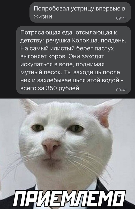 Весёлый полтишок 23.08.22
