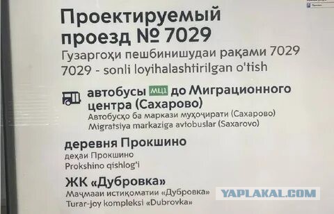 В Госдуме РФ предложили печатать авиабилеты на русском языке