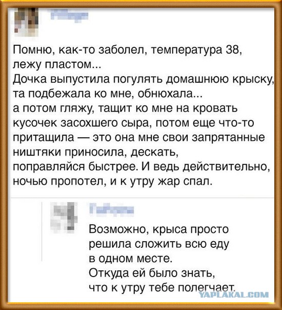 Картинки и мемы. Выходные близко...