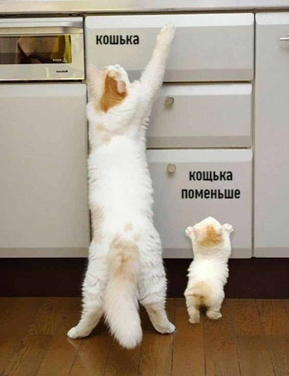 Прикольные и просто красивые картинки 25.11.2022