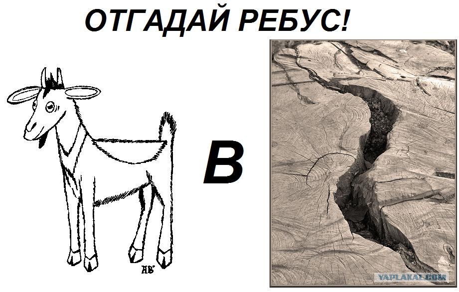 Отгадай ответь