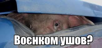 Киеву для победы в конфликте придется ...