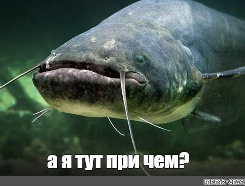 Гля, чистюля какая!