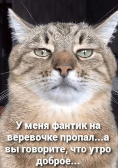 Так себе картинки 28.08.24