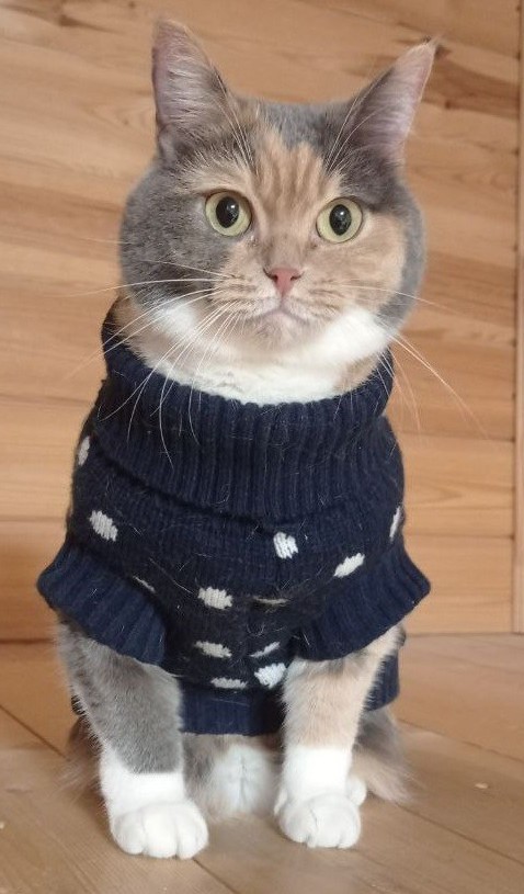 От бабушки едет