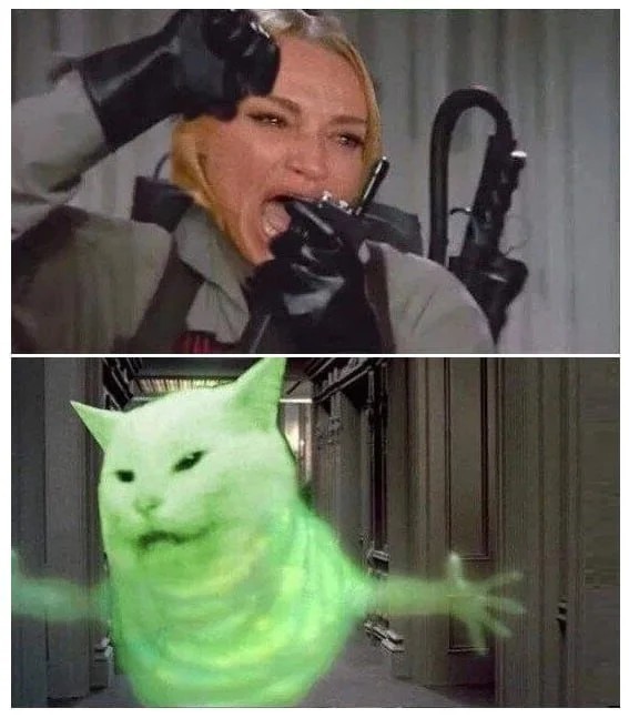 Знаменитый кот