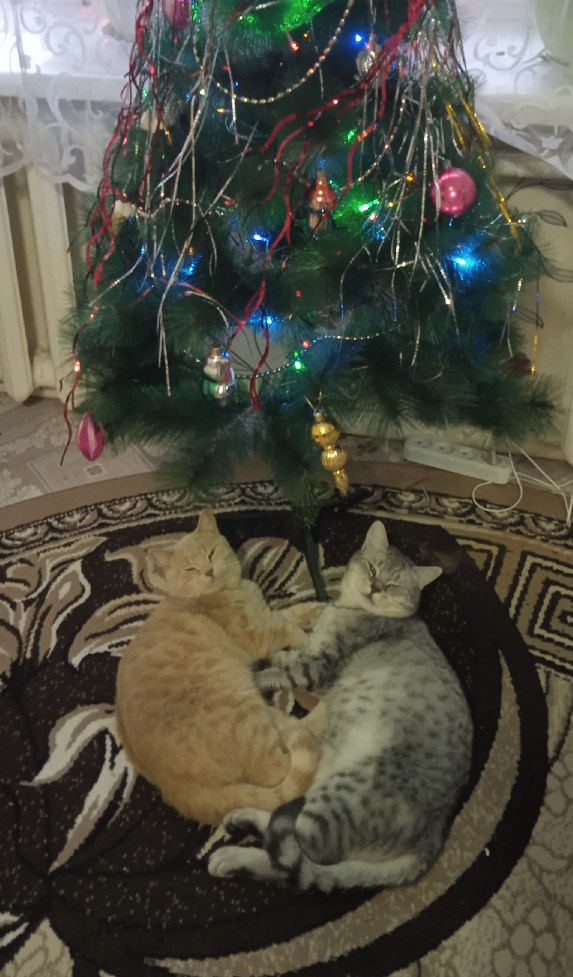 Идите нафиг с этой вашей зимой