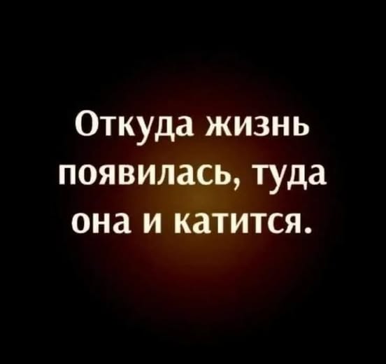 Маленькая пятница 24.12