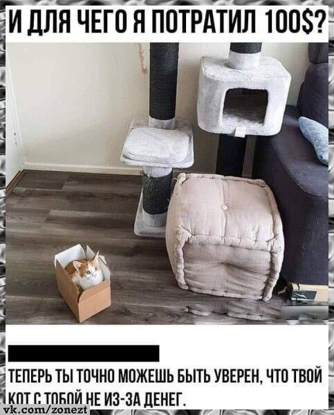 Воскресные картинки