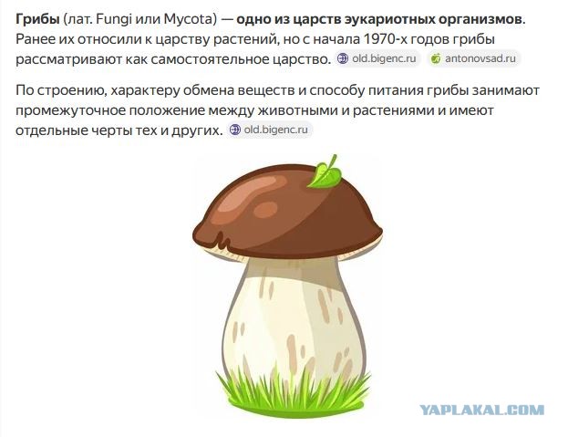 Еретики⁠⁠