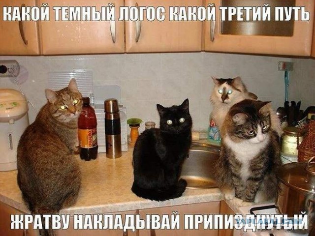 Картинки для деградации 154 (разной степени свежести)