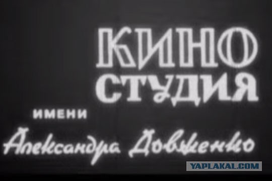 Зеленский опубликовал видео из Дружковки