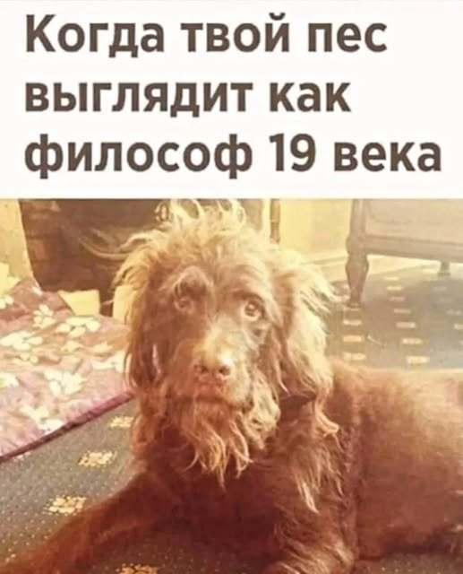 Картинки для деградации 171 (разной степени свежести)