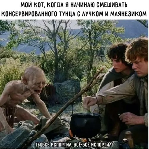 Картиночки, баянчики в начале мая