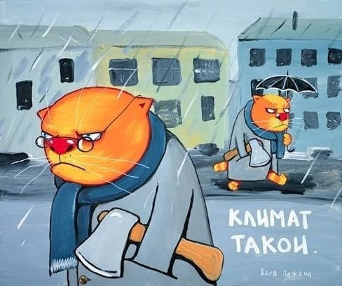 Расчлененное тело в пяти пакетах найдено под Петербургом