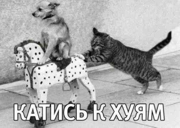Когда жена против увлечения мужа