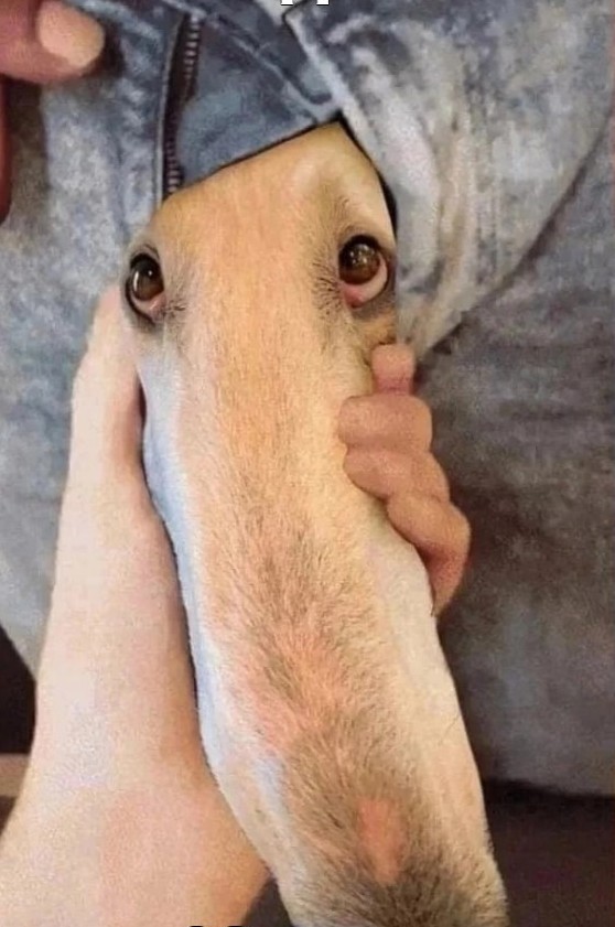Ну че ты дразнишься?